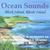 Ocean Sounds Block Island, Rhode Island