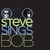 Steve Sings Bob