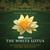 Enlightenment (Main Title Theme) (From ''the White Lotus: Season 3'') (CDS)