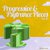 Progressive & Psy Trance Pieces Vol.17