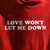 Love Won't Let Me Down (cds)
