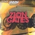 Zion Gates