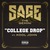 College Drop (CDS)