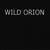 Wild Orion