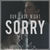 Sorry (Originally Performed By Justin Bieber) (CDS)