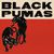 Black Pumas (Expanded Deluxe Edition) CD1