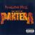 Reinventing Hell (The Best Of Pantera)