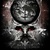 The Parasitic Survival Of The Human Race