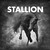 Stallion 001