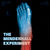 The Mendenhall Experiment (EP)