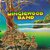 Minglewood Band (Vinyl)