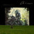 Arrow (CDS)
