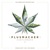 Hustlebach (Limited Edition) CD1