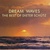 Dream Waves (The Best Of  Dieter Schütz)