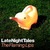 LateNightTales Presents The Flaming Lips