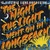 The Night The Light Went On (In Long Beach) (Vinyl)