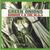 Green Onions (Vinyl)