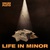 Life In Minor