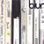 Blur 21: The Box - Rarities 3 (Parklife & The Great Escape Era) CD17