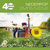 Alle 40 Goed Nederpop CD1