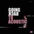 Going Back To Acoustic (Vinyl)