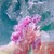 Plexiglass (EP)