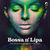 Bossa N' Lipa - The Electro-Bossa Songbook Of Dua Lipa