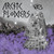 Arctic Flowers (EP)