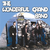 The Wonderful Grand Band (Vinyl)