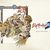 Saga Frontier 2 Original Soundtrack