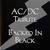 Ac/Dc Tribute: Backed In Black