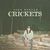 Crickets (CDS)