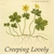 Creeping Lovely - EP
