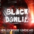 Black Dahlia (CDR)