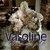 Vasoline (MCD)