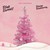 This Christmas (CDS)