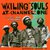 Wailing Souls At Channel One
