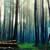 Listening To Nature