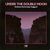 Under The Double Moon (With Jay Hoggard) (Vinyl)