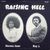 Raising Hell (Vinyl)