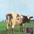 Atom Heart Mother, The High Resolution Remasters CD3