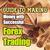 Guide to Making Money With Successful Forex Trading